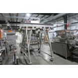 Bi-Directional Conveyor