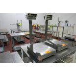 Platform Scale