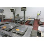 Platform Scale