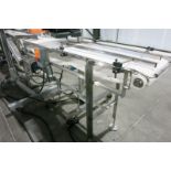 Transfer Conveyor