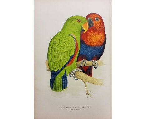 Russ (Karl). The Speaking Parrots: a scientific manual, London: L. Upcott Gill, circa 1890, colour &amp; black &amp; white il