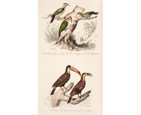 Buffon (Georges Louis Leclerc, Comte de). Keepsake d'Histoire Naturelle... Oiseaux... texte de Buffon, revu, reduit et preced