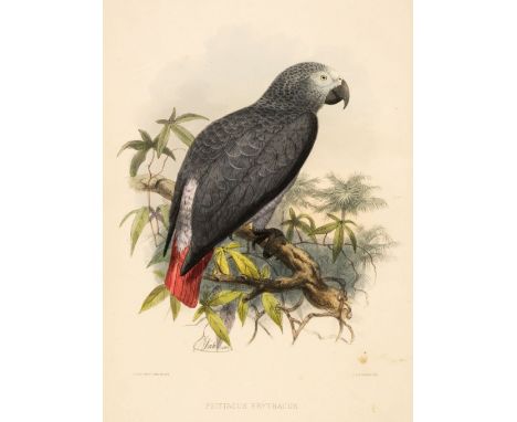 Keulemans (John Gerrard). A Natural History of Cage Birds, Parts 1-3 (of 4), only, 1st edition, London: John Van Voorst, [187