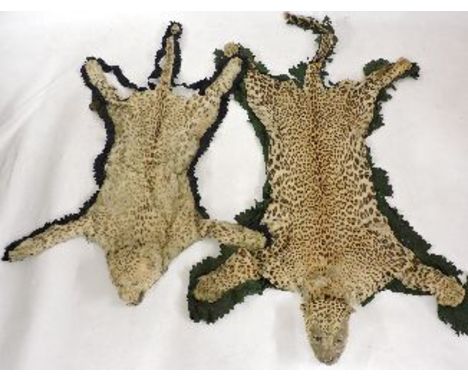 Two stuffed head leopard rugs, one labelled Army & Navy Stores