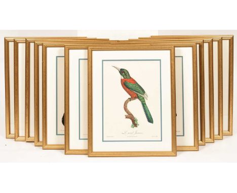 French School, 20th CenturyCollection of twelve reproduction etchings in colours depicting different species of exotic birdst