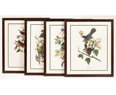 English School, 20th CenturyFour reproduction prints in colours depicting parrotstypically 42cm x 34cmin uniform frames (4)