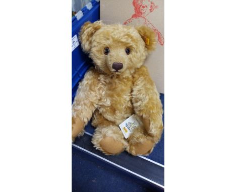 A Steiff teddy bear, yellow tag, boxed