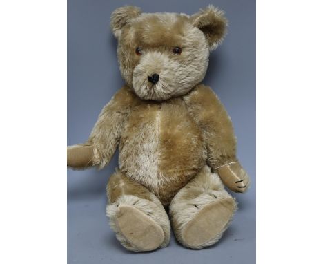 A Chiltern teddy bear