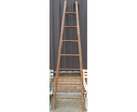 A stained pine fruit picker's ladder