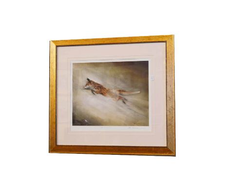 An Limited Edition Signed Print 'In Flight' - Paul Tavenor