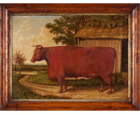 19th century Naive School Portrait of a bullOil on canvas UnsignedIn a maple frame40cm x 55cm