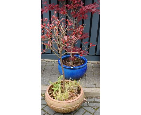 A contemporary blue glazed stoneware squat garden planter, dia. 54cm; together with a similar terracotta example (2)