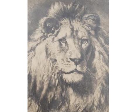 Herbert Dicksee (1862-1942), etching, 'His Royal Highness', 28 x 19cm. Condition - good