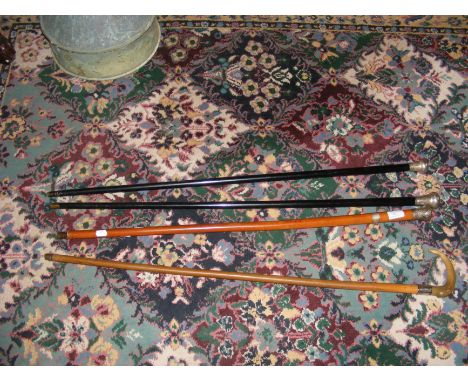 A silver topped walking cane and three others