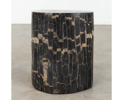 A large, petrified tree trunk.&nbsp;(L:35 x W:36 x H:40 cm)