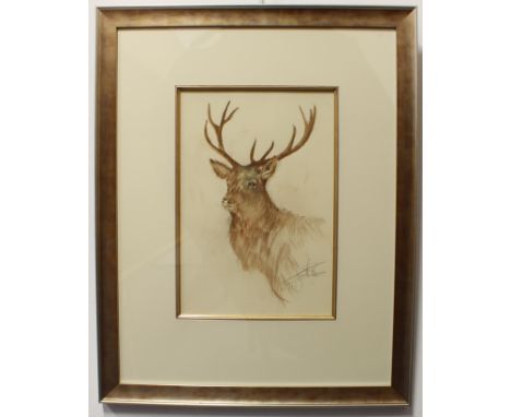 British School (contemporary) Portrait of a stag; Portrait of a hare watercolour and pastel; watercolour, both signed indisti