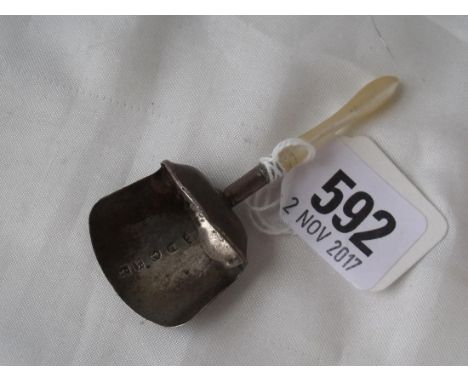 Georgian caddy scoop with m.o.p handle  Birm 1806 by SP       