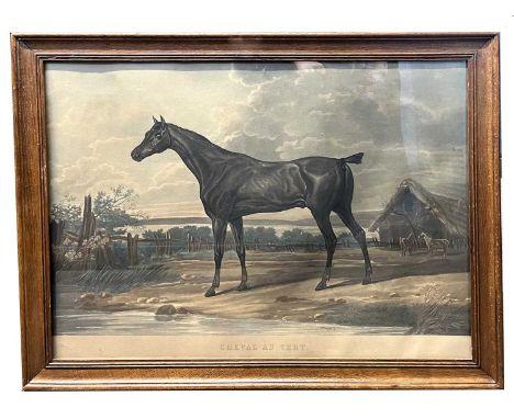 Carle Vernet, French 1758-1836 hand coloured lithograph of a racehorse "Cheval Au Vert" in period 19th century frame.
