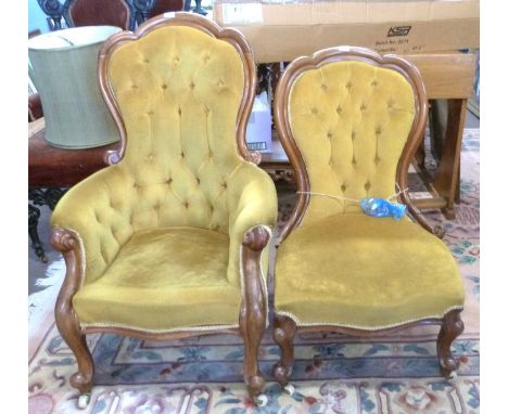 A pair of Victorian ladies and gents button upholstered chairs finished in mustard fabric with show wood frames and carved de