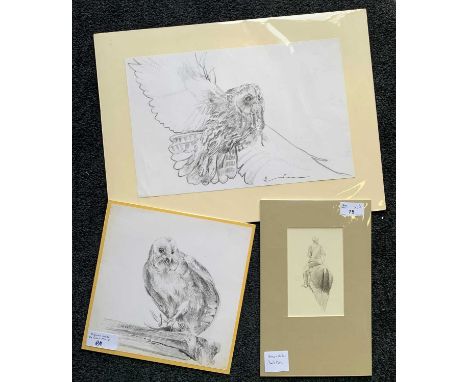David Poole (British, b.1931), 'Horse and Rider' with 'Evening Meal' (two owl with prey studies), pencil on laid paper, 9x14 