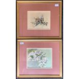 M. Tudor Pole (19th century) Pair of botanical watercolours, signed / initialed and dated 1899,
