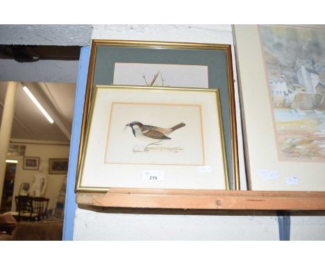 Mixed Lot: K Tidd study of a blue tit together with a further coloured print of a sparrow (2)