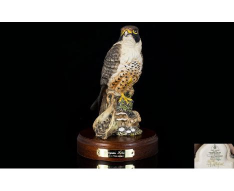 Royal Doulton - Signed Ltd and Numbered Edition Hand Painted Ceramic Bird Figure ' Peregrine Falcon ' Designer Graham Tongue.