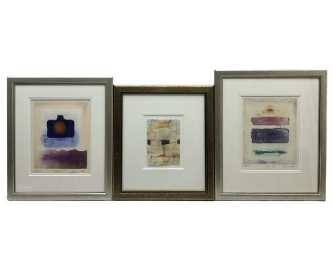 James Cox (British contemporary): 'Sigma VI' and 'Lettera I', pair limited edition screen prints signed titled and numbered i