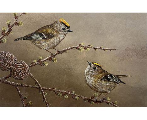 Robert E Fuller (British 1972-): 'Goldcrest on Larch', limited edition colour print signed and numbered 229/850 in pencil 15c
