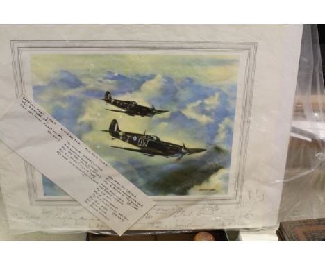 Norman Hoad Military Aircraft Print ' Spitfire Pair ' signed by the Artist Norman Hoad and Bob Pilots being W/C R Rayner DFC,