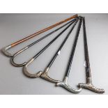 6-teiliges Konvolut von alten Spazierstöcken (um 1900)
