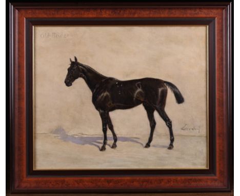 An Oil on Canvas (relined) Portrait of a Horse inscribed 'Old Bridge' and signed indistinctly bottom right. The canvas measur