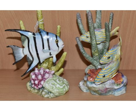 TWO ROYAL WORCESTER FIGURES OF FISH, comprising 'Yellow Grunt' no 3576 and 'Spade Fish' no 3579, modelled by Ronald van Ruyck