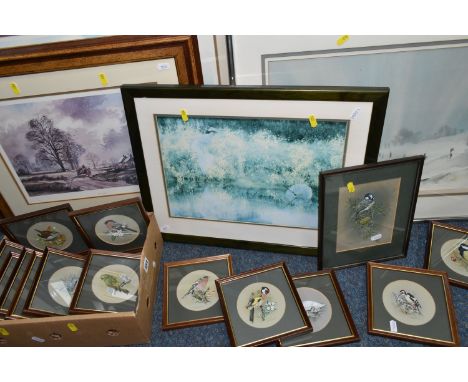 JANET WHITTAKER (CONTEMPORARY) FOURTEEN WATERCOLOUR STUDIES OF BIRDS, birds include a Swan with Cygnets, Great Spotted Woodpe