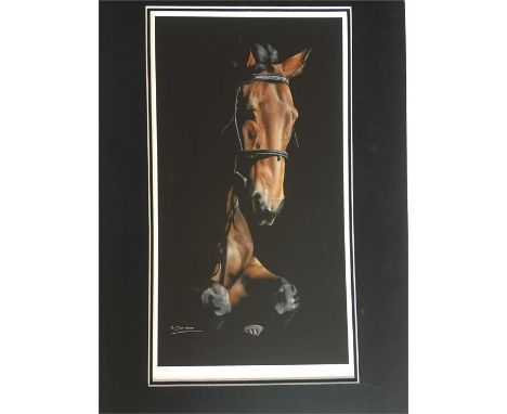 Angela Davidson signed limited edition print - 20/395 - Moondancer - 37cms x 20cms 