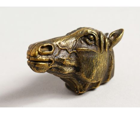 A BRASS HORSE'S HEAD VESTA / SNUFF BOX.