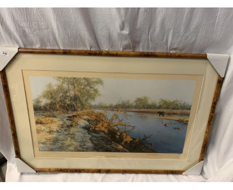 A DAVID SHEPHERD FRAMED PRINT 'EVENING OF THE ELEPHANT' LIMITED EDITION 418/850 WHOLESALE PRICE £215 