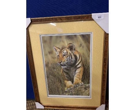 A STEVEN TOWNSEND FRAMED PRINT 'TIGER CUB' LIMITED EDITION 212/500 WHOLESALE PRICE £150 