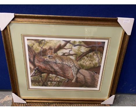 A NIGEL ARTINGSTALL FRAMED PRINT 'AFTER THE KILL' LIMITED EDITION 20/195 WHOLESALE PRICE £150 