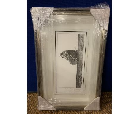 A GARY HODGES FRAMED PRINT 'BLUE MORPHO BUTTERFLY' LIMITED EDITION 396/450 WHOLESALE PRICE £120 