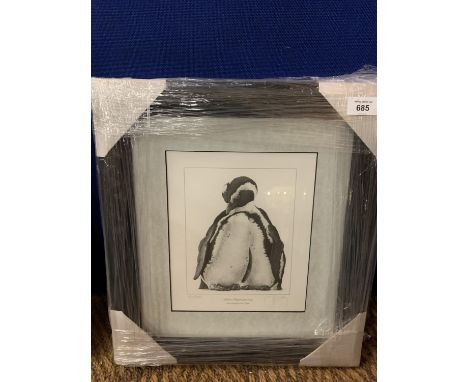 A GARY HODGES FRAMED PRINT 'JACKASS PENGUINS' LIMITED EDITION 437/850 WHOLESALE PRICE £105 