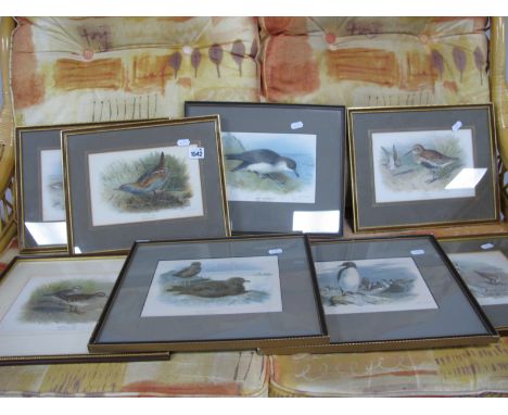Archibald Thorburn Lithographic Prints, including Common Guilemot, Kentish Plover, Dunlin, American Stint, each approximately
