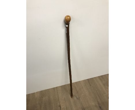 WALKING STICK