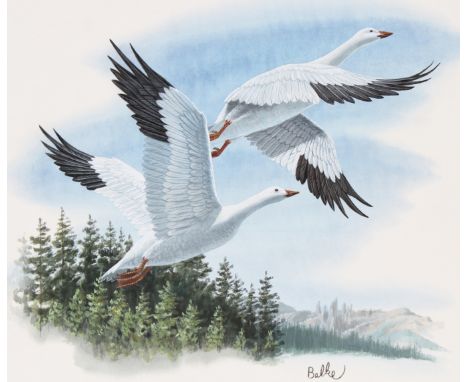 Don Balke (North Carolina, B. 1933) "Snow Goose" Signed lower right. Original Watercolor painting on Illustration Board. Prov