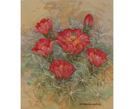 Gordon Beningfield (British, 1936 - 1998) "Claret Cup Cactus" Signed lower right. Original Watercolor painting on Paper. Prov