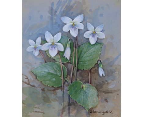 Gordon Beningfield (British, 1936 - 1998) "Sweet White Violet" Signed lower right. Original Watercolor painting on Paper. Pro