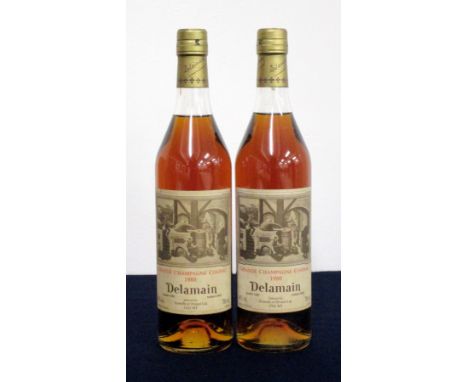 2 bts Delamain Grande Champagne Cognac 1980, landed 1983, bottled 2003, selected by Howells of Bristol Ltd vsl stl