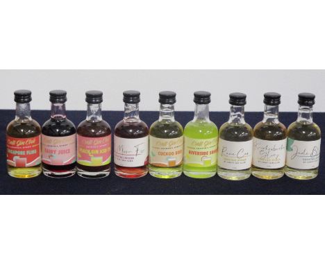 A Selection of Cocktail Syrups incl:- 3 50 ml bts Singapore Fling, 2 50 ml bts Fairy Juice, 2 50ml bts Peach Gin Iced Tea, 2 