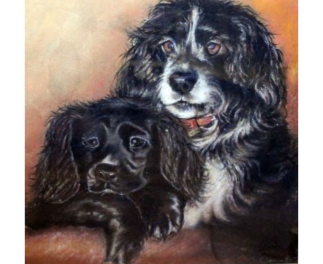 R Dean, two spaniels, chalk, 32cm x 35cm, signed, glazed and framed.