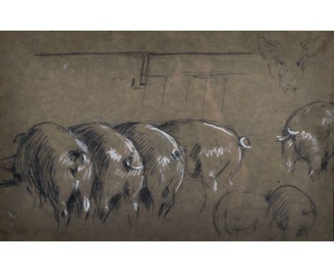 William Gunning King (1859-1940) British. Pigs at a Trough in a Barn, Pencil and Whiting, 9" x 14.25".